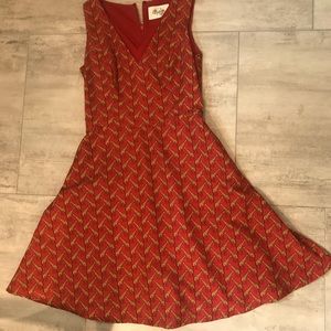 Anthropologie A-line 🦒 dress
